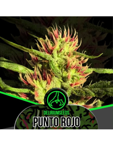 Punto Rojo Automatica 4 ud - Delirium Seeds