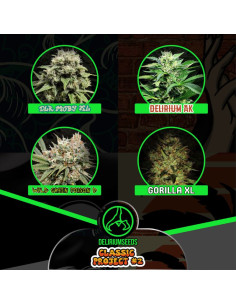 Mix Classic Project 2 Automáticas - Delirium Seeds