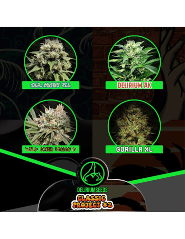 Mix Classic Project 2 Automáticas - Delirium Seeds