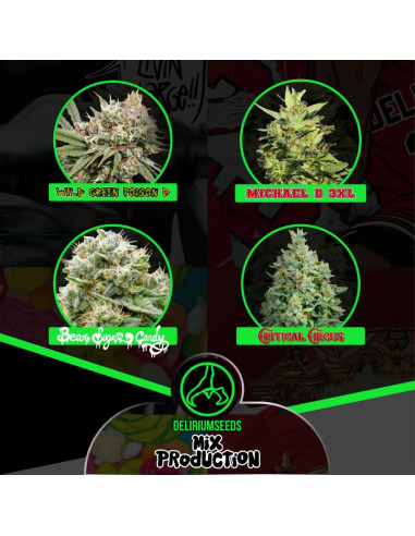 Mix Production Fast Version - Delirium Seeds