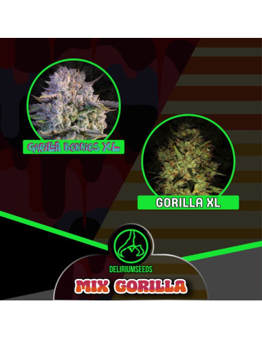 Mix Gorilla Fast Version - Delirium Seeds