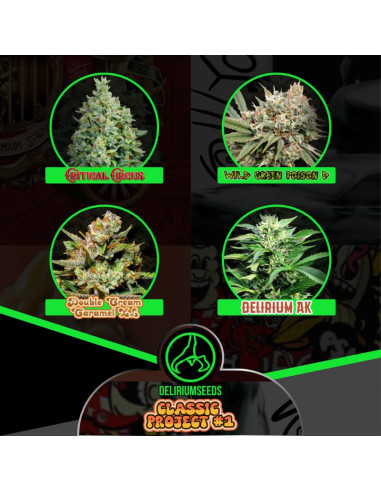 Mix Classic Project 1 Fast Version - Delirium Seeds