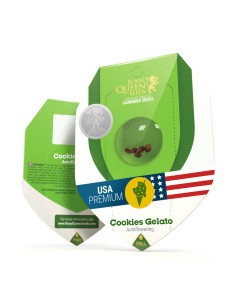 Cookies Gelato Auto USA - Royal Queen Seeds 2