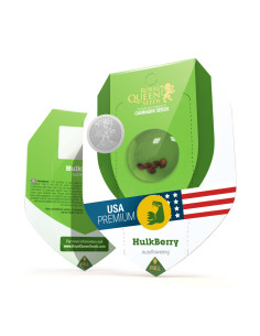 Hulkberry Auto USA - Royal Queen Seeds 2
