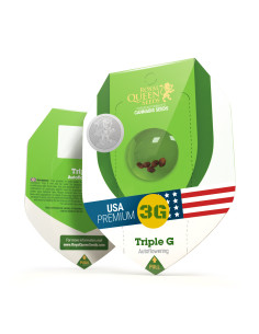 Triple G Auto USA - Royal Queen Seeds 2