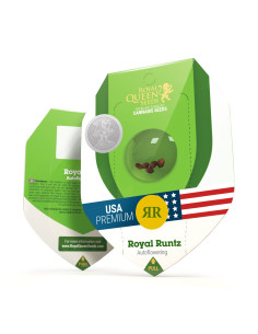Royal Runtz Auto USA - Royal Queen Seeds 2