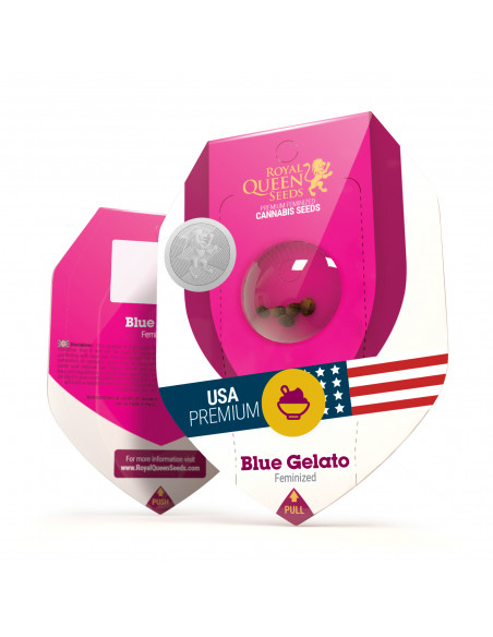 Blue Gelato Feminizada USA - Royal Queen Seeds