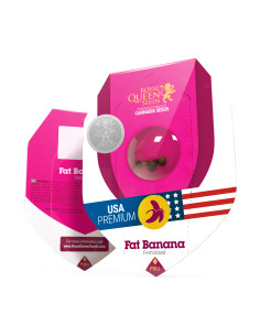 Fat Banana Feminizada USA - Royal Queen Seeds 2