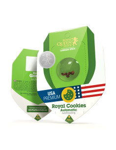 Royal Cookies Auto USA - Royal Queen Seeds 2