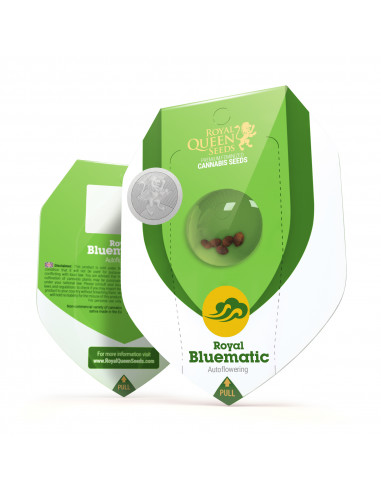 Royal Bluematic Auto - Royal Queen Seeds