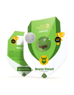 Royal Dwarf Auto - Royal Queen Seeds 2