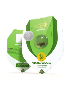 White Widow Auto - Royal Queen Seeds 2