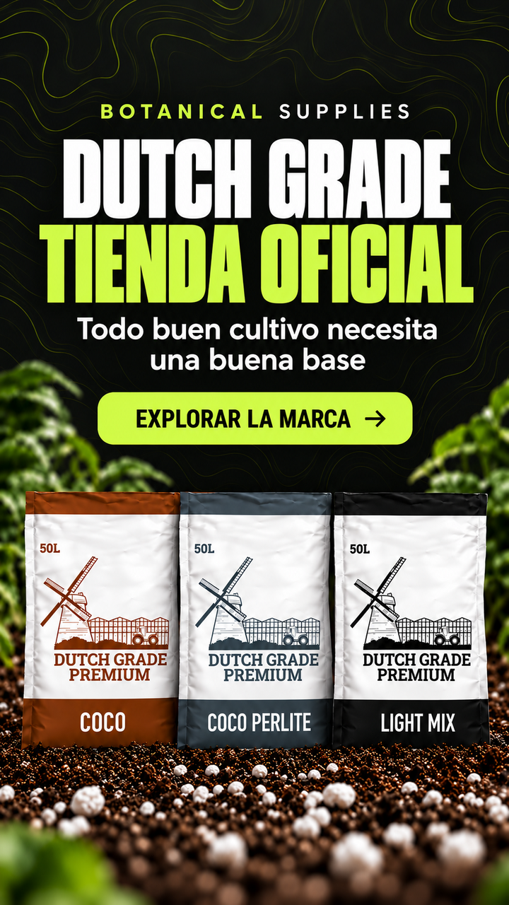 Dutch Grade &mdash; Tienda oficial