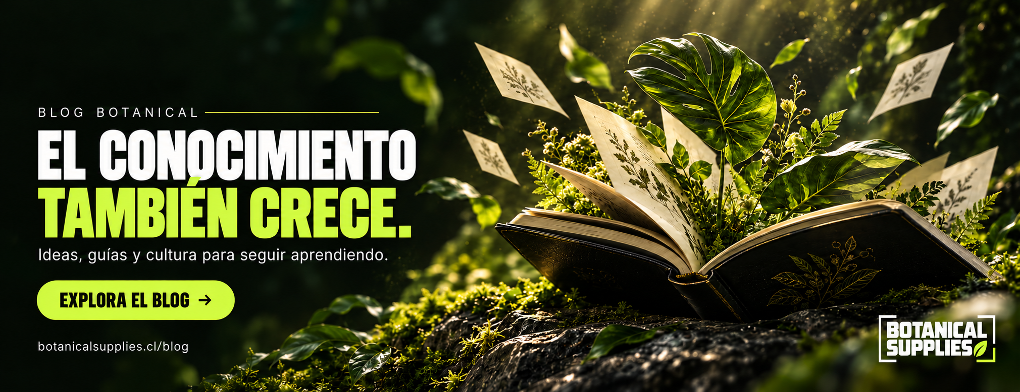 Blog Botanical &mdash; El conocimiento tambi&eacute;n crece